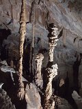 00395-1701 Popcorn Stalagmites in Wind Cave